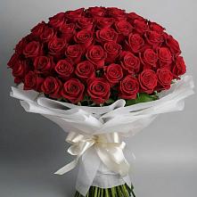 Букет 101 Красная роза Блэк Мэджик в Парковом