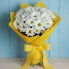 Букет цветов из:  Хризантемы в Парковом