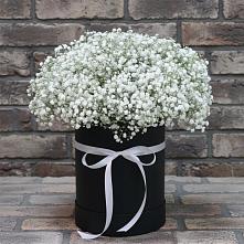 Цветочная композиция из Гипсофила в шляпной коробке #REPLACE_PRED# Парковом