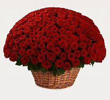 Премиум букет из: Розы #REPLACE_PRED# Парковом